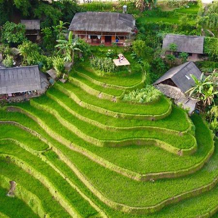 My'S Homestay Sapa エクステリア 写真
