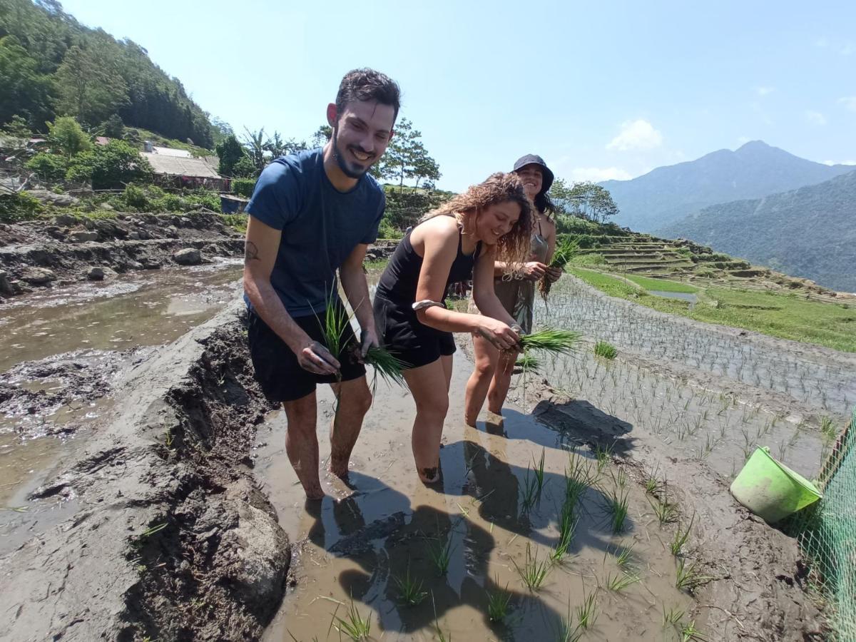 My'S Homestay Sapa エクステリア 写真