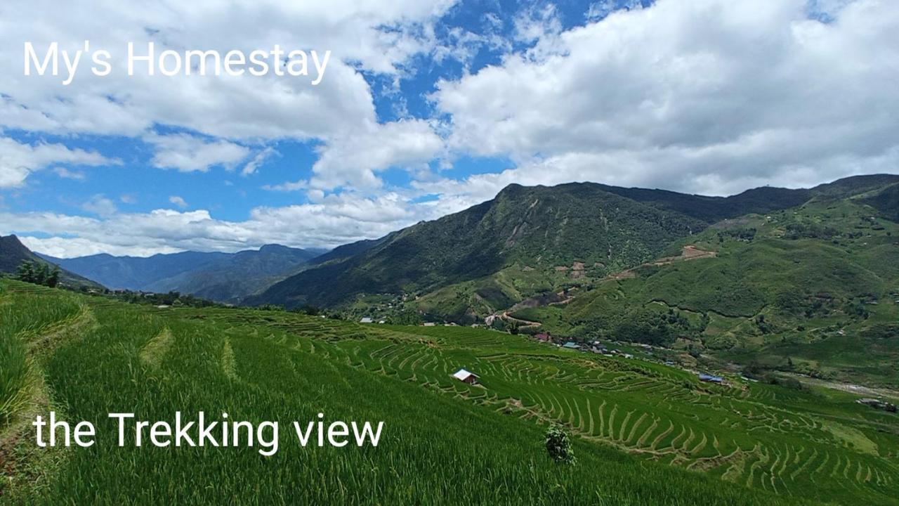 My'S Homestay Sapa エクステリア 写真