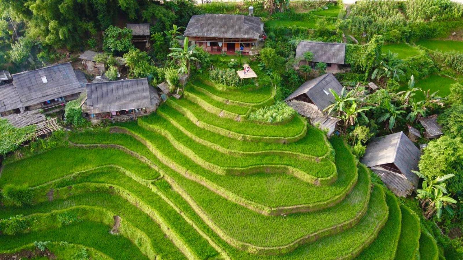 My'S Homestay Sapa エクステリア 写真