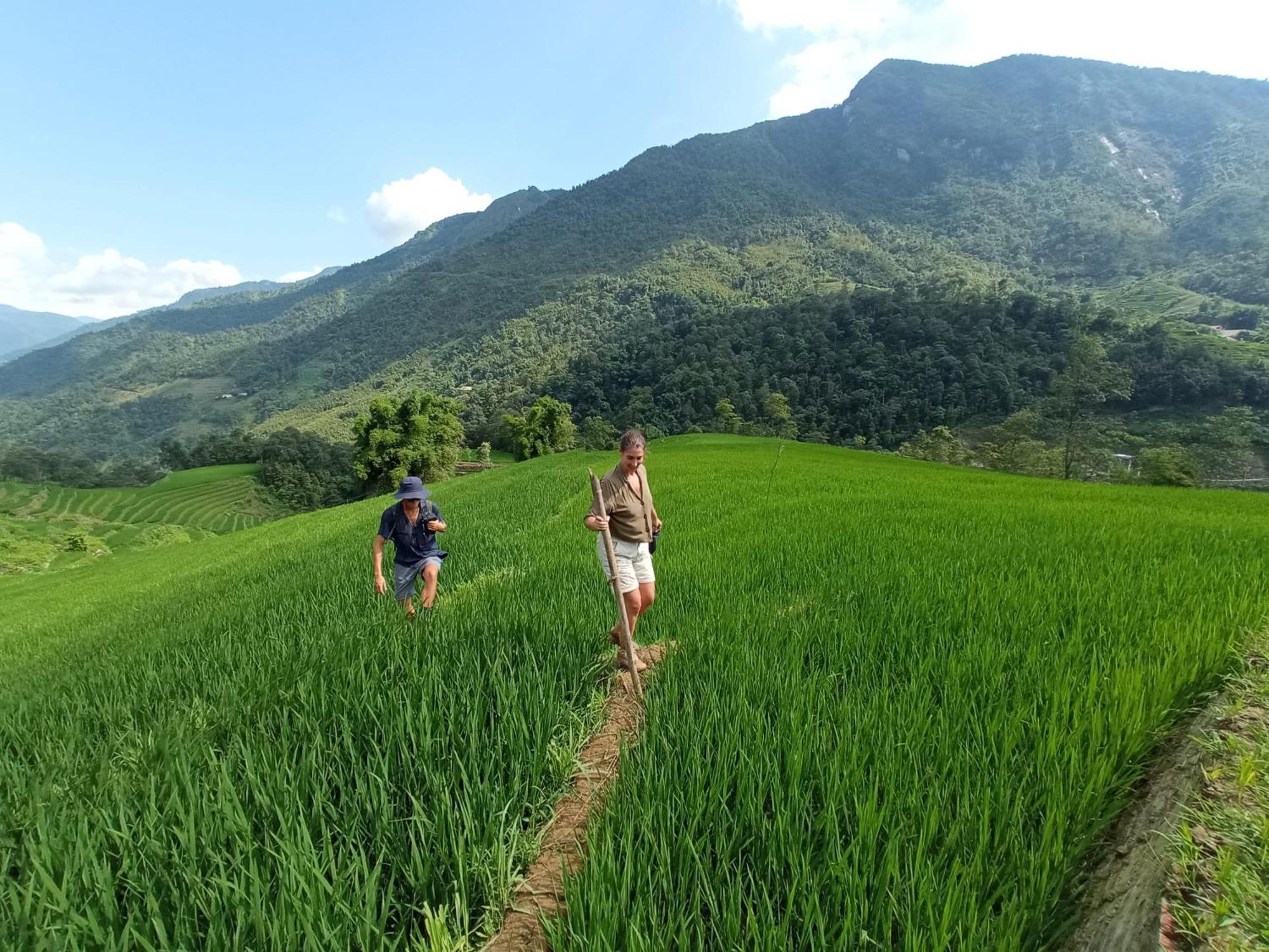 My'S Homestay Sapa エクステリア 写真