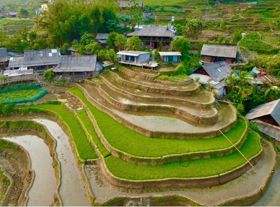 My'S Homestay Sapa エクステリア 写真
