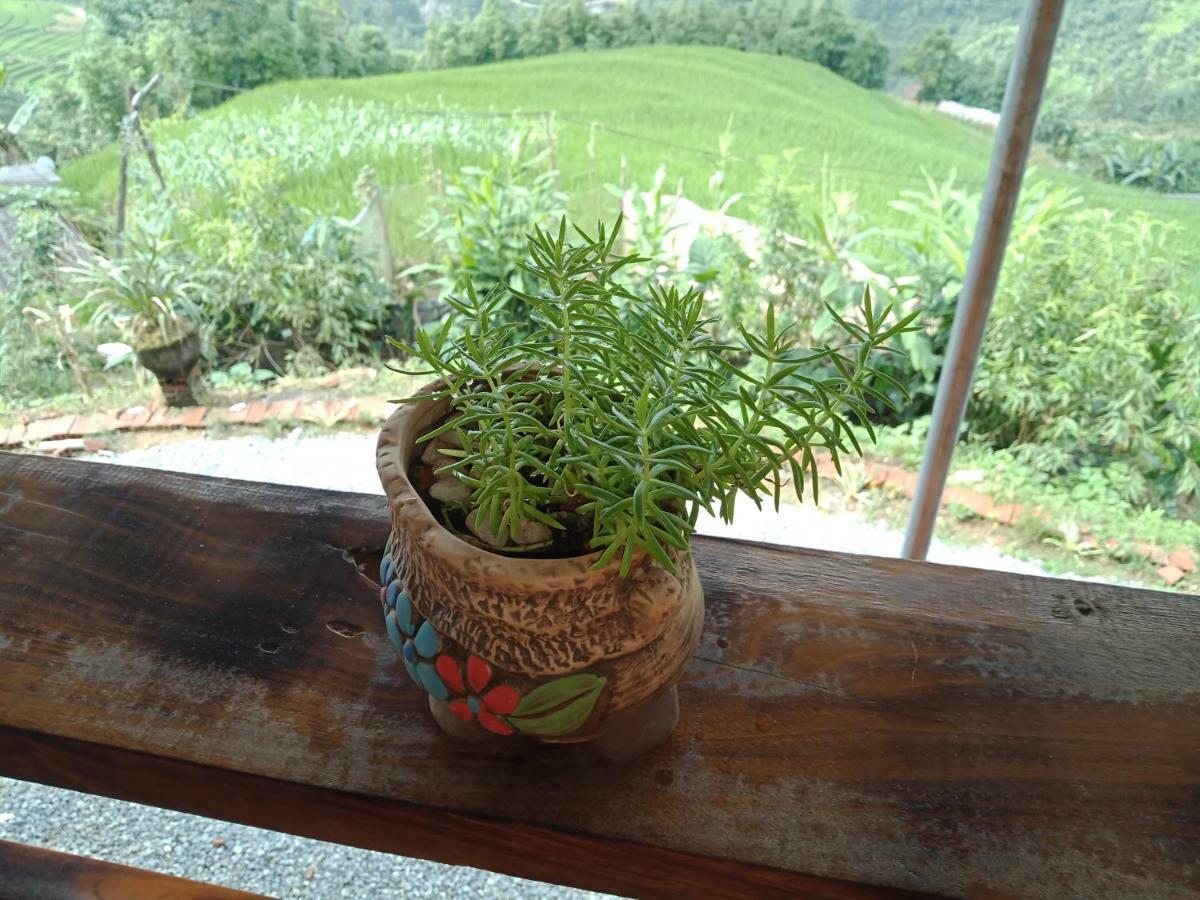 My'S Homestay Sapa エクステリア 写真