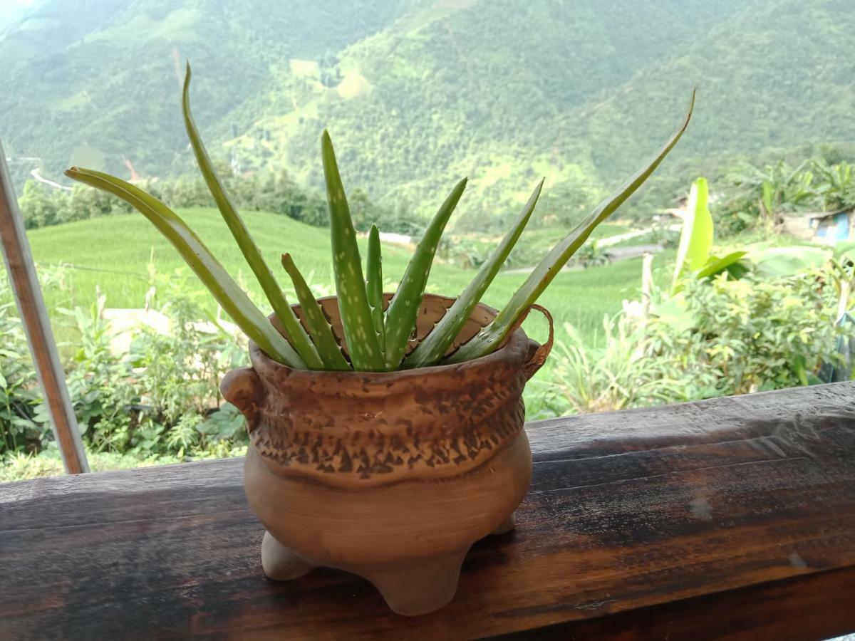 My'S Homestay Sapa エクステリア 写真